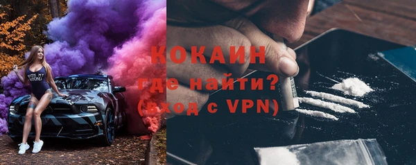 индика Алзамай