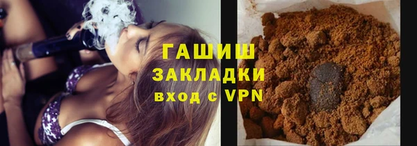 индика Алзамай