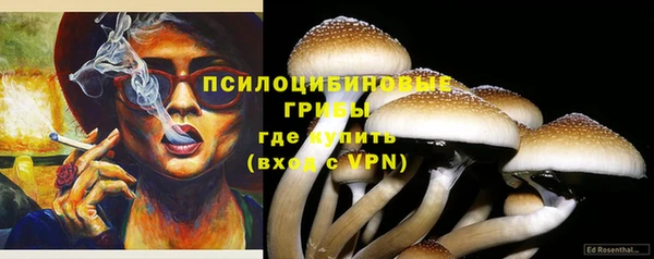 бошки Абаза